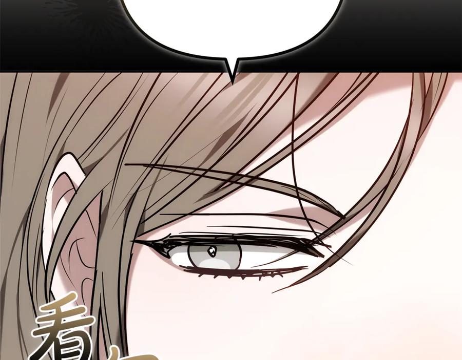 第223页
