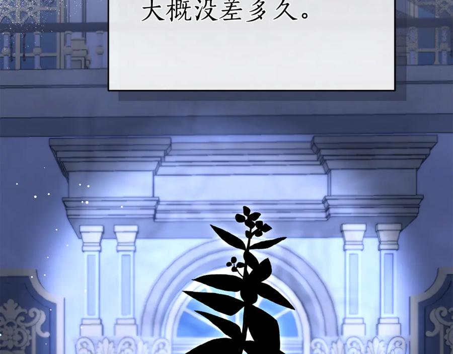 第219页
