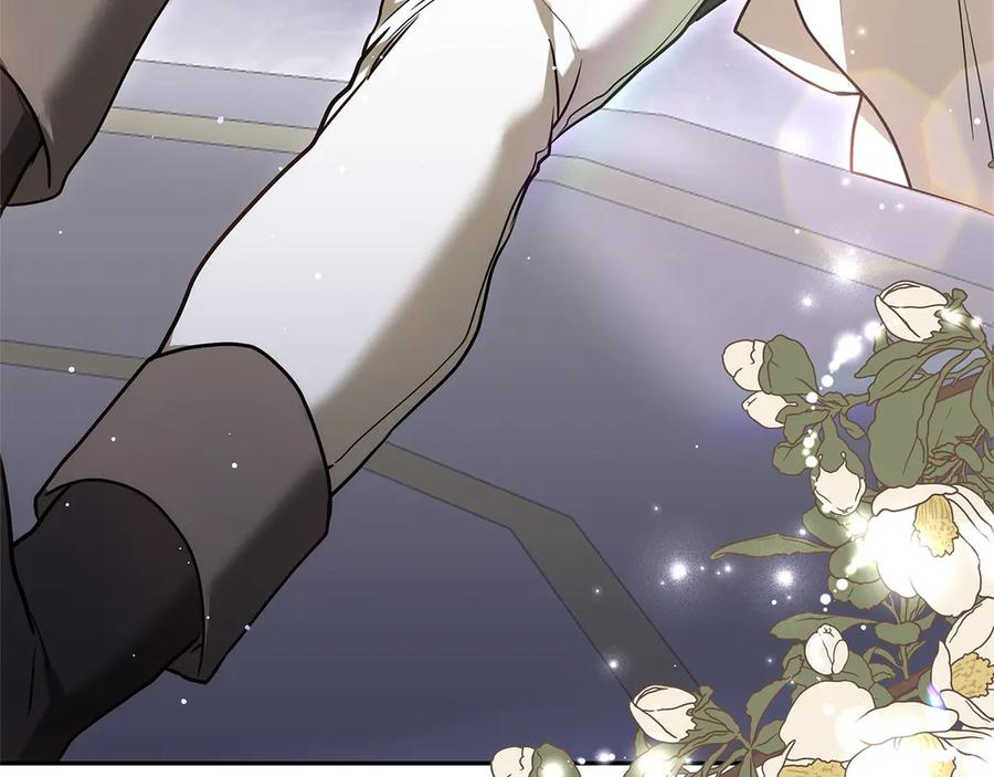第215页