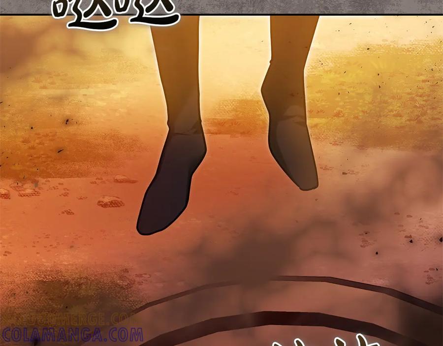 第217页