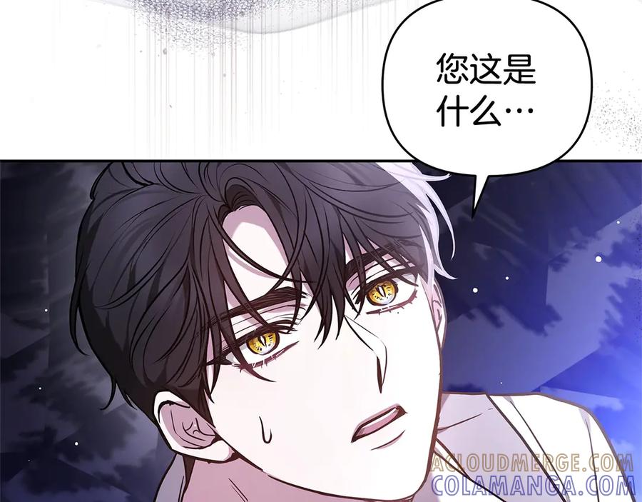 第229页