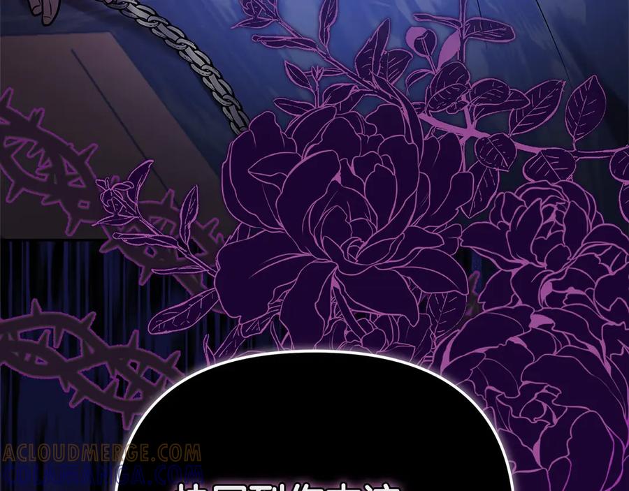 第245页