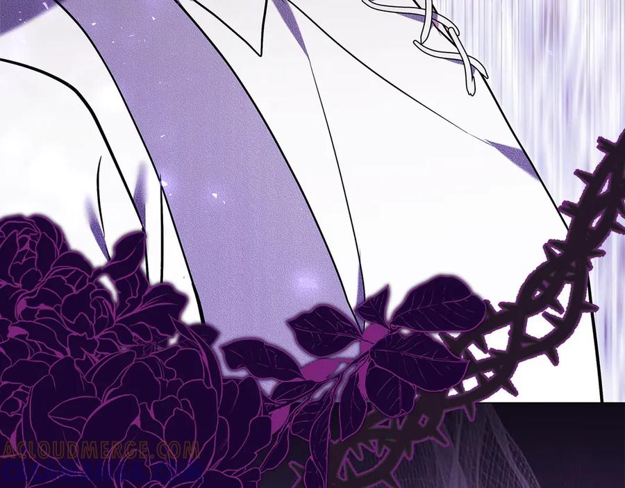 第249页