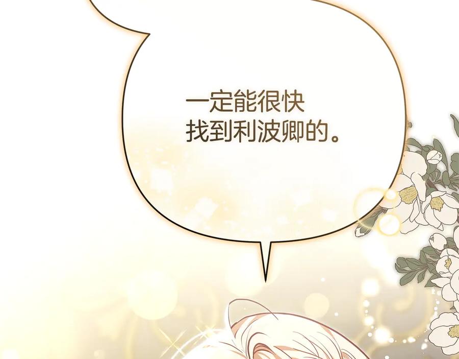 第243页