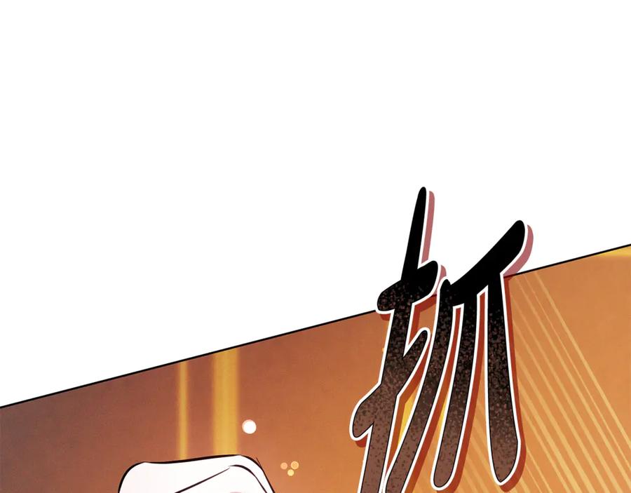 第223页