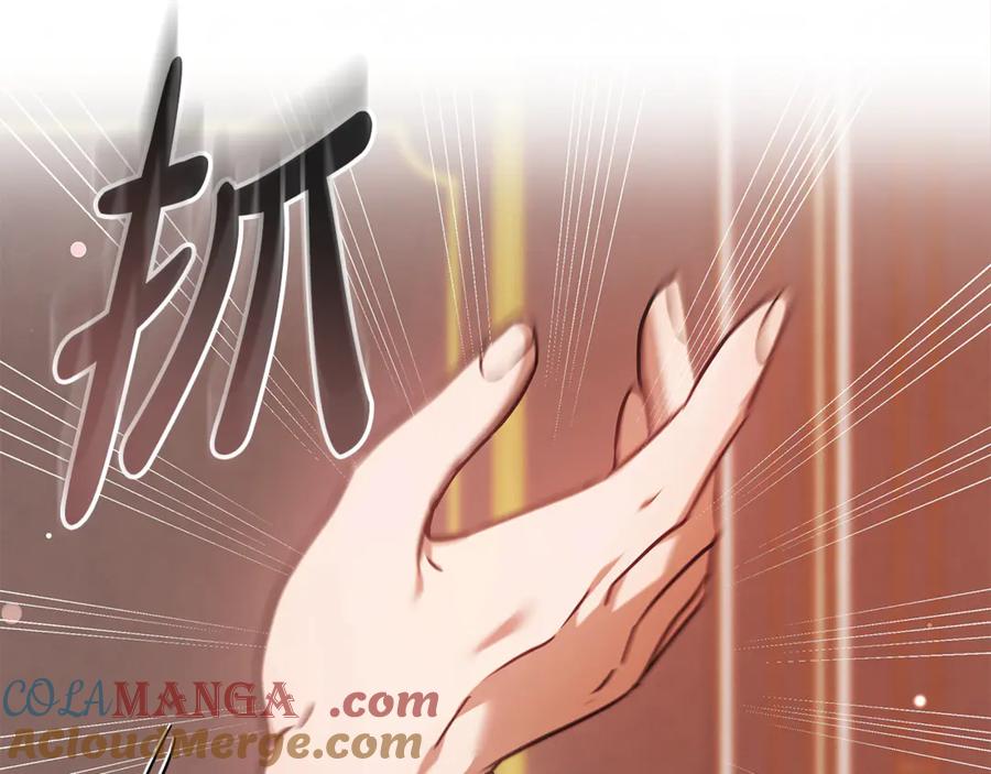 第245页