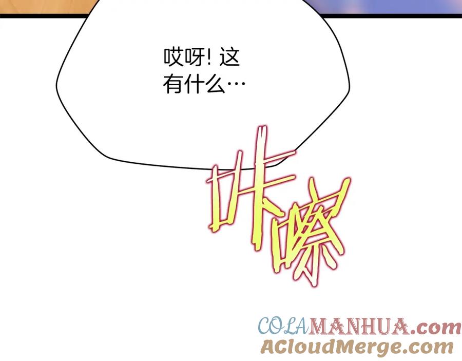 第205页