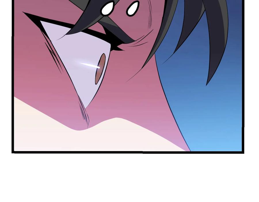 第223页