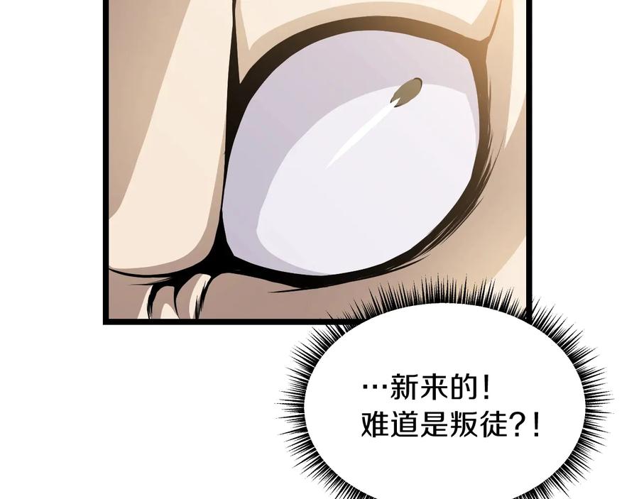 第204页