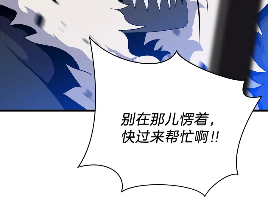 第204页