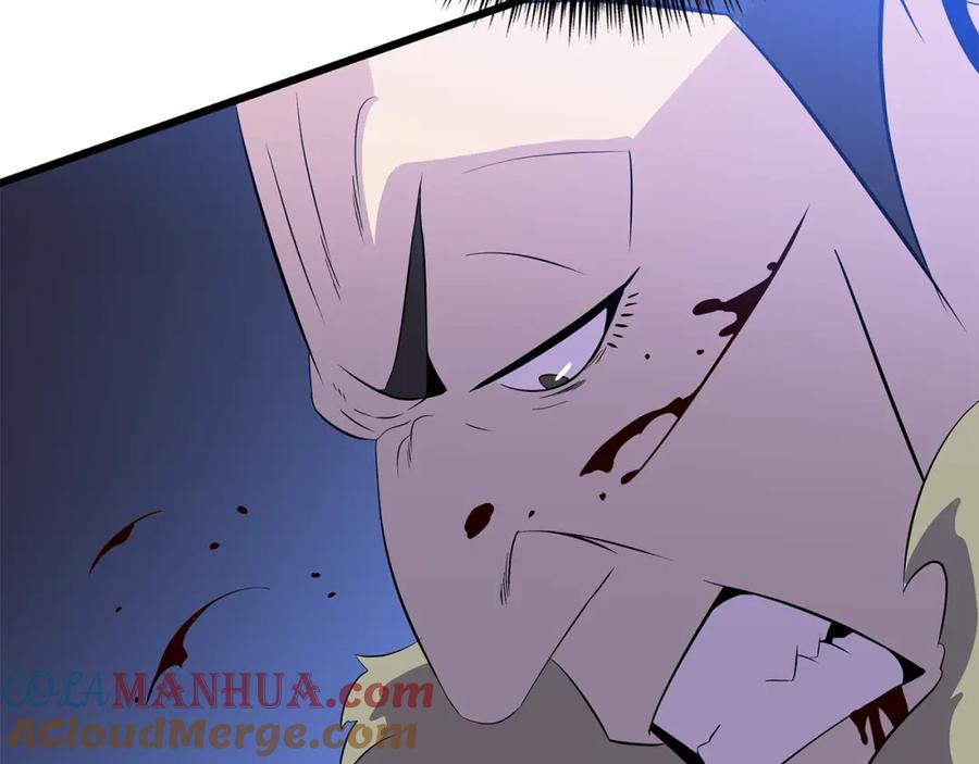第205页