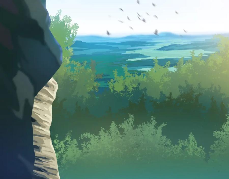 第80页