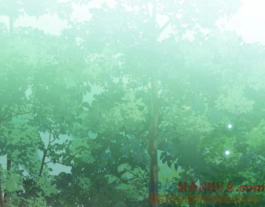 第325页