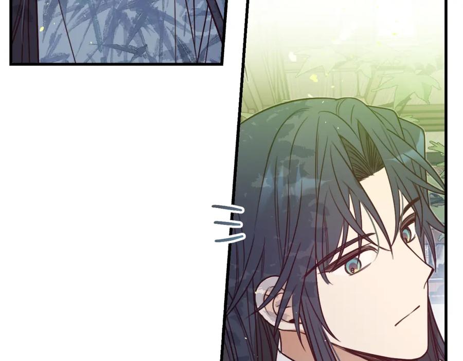 第223页