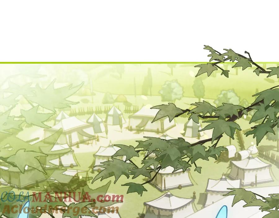 第217页