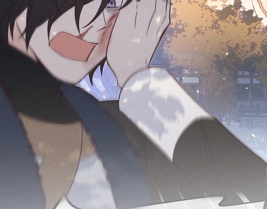 第204页