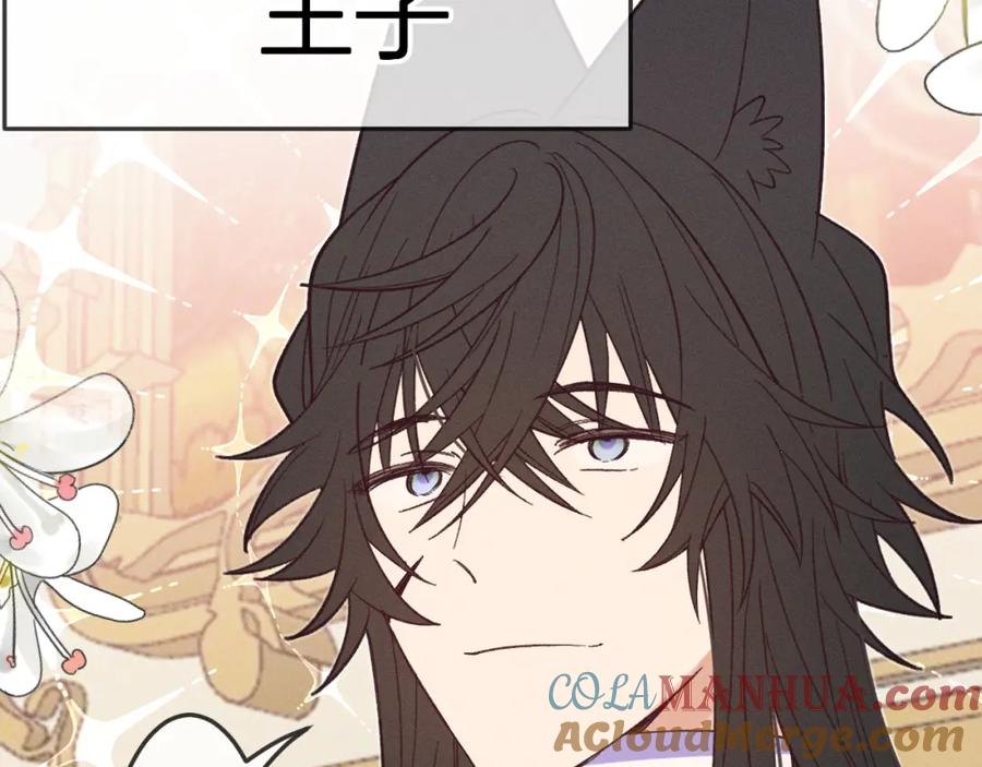 第221页