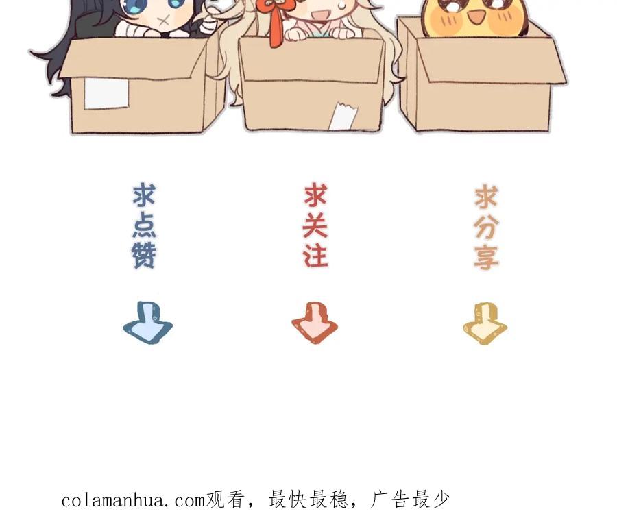 第244页