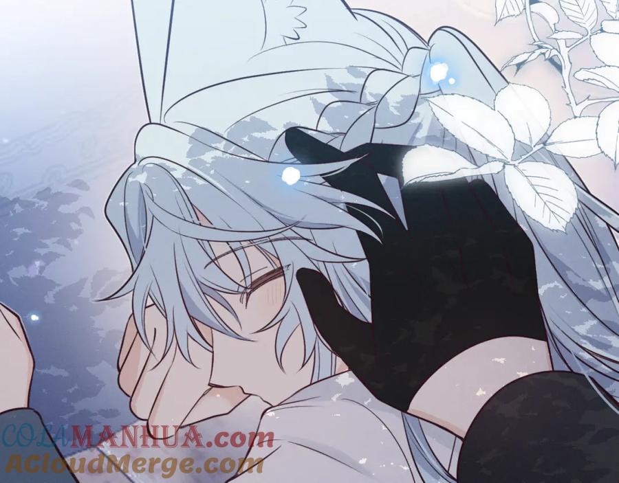 第229页