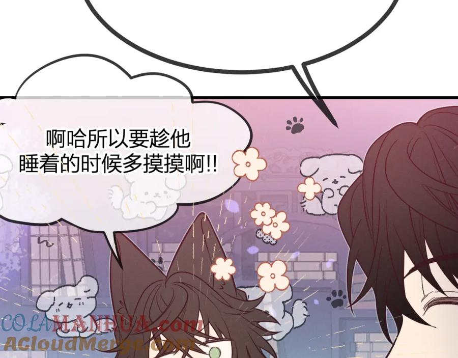 第237页