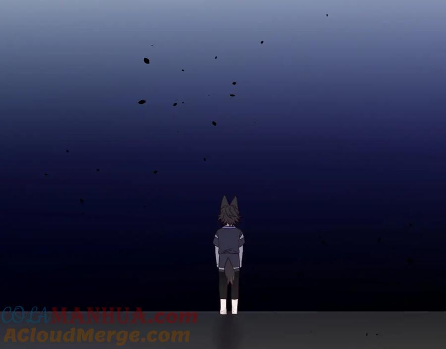 第217页