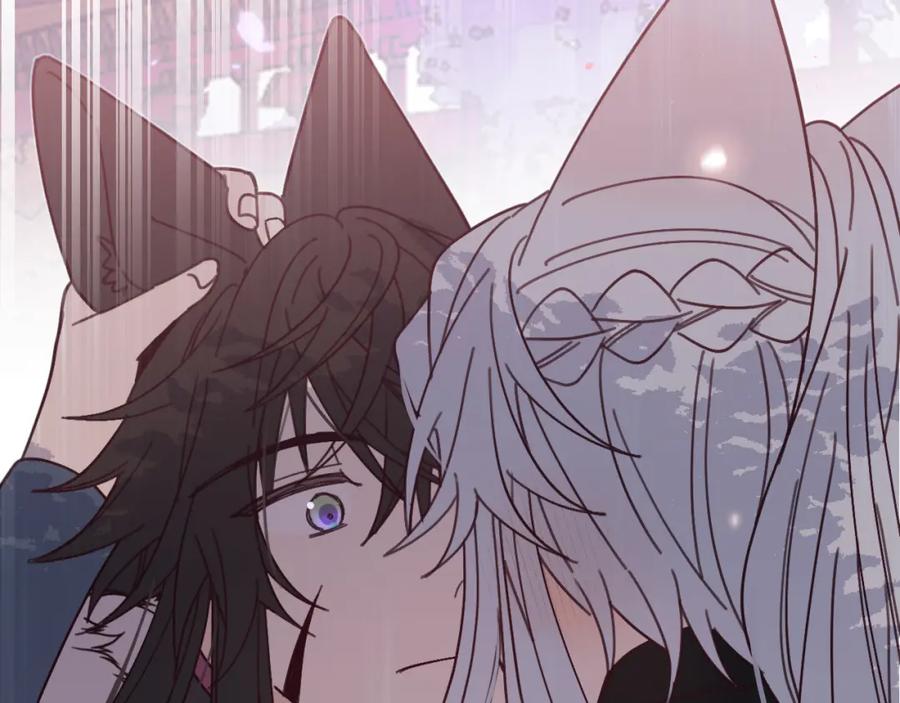 第216页