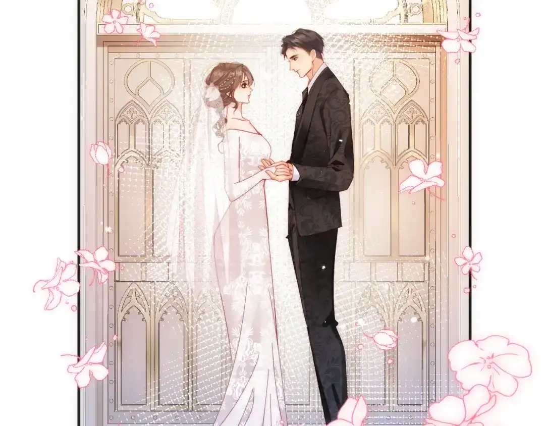 第242页