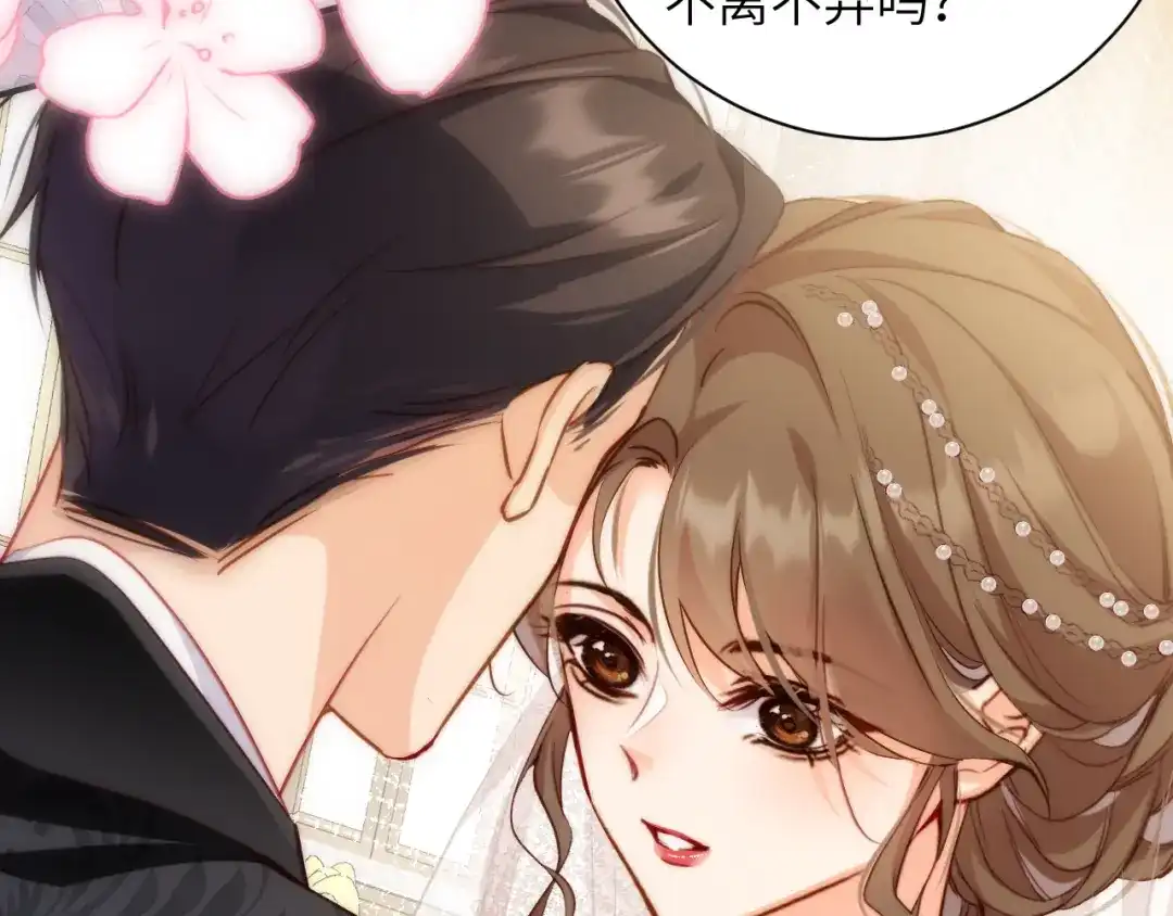 第255页