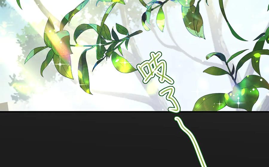 第685页