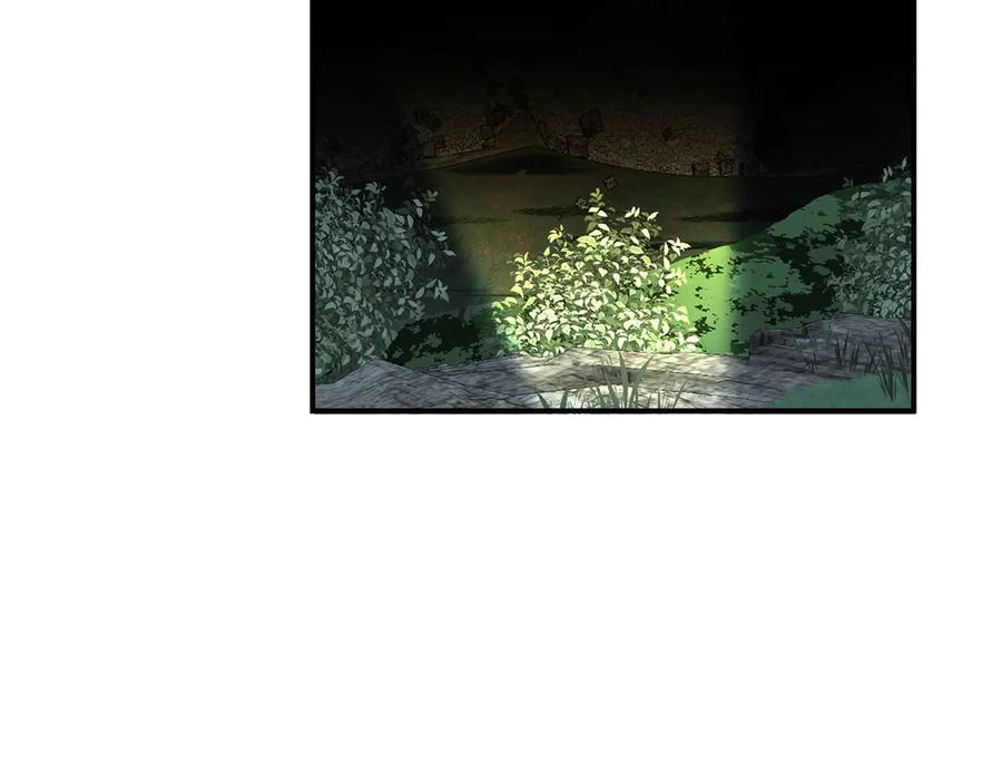 第215页
