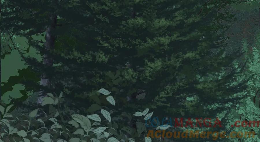 第221页