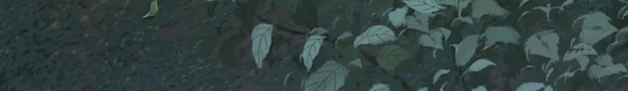 第224页
