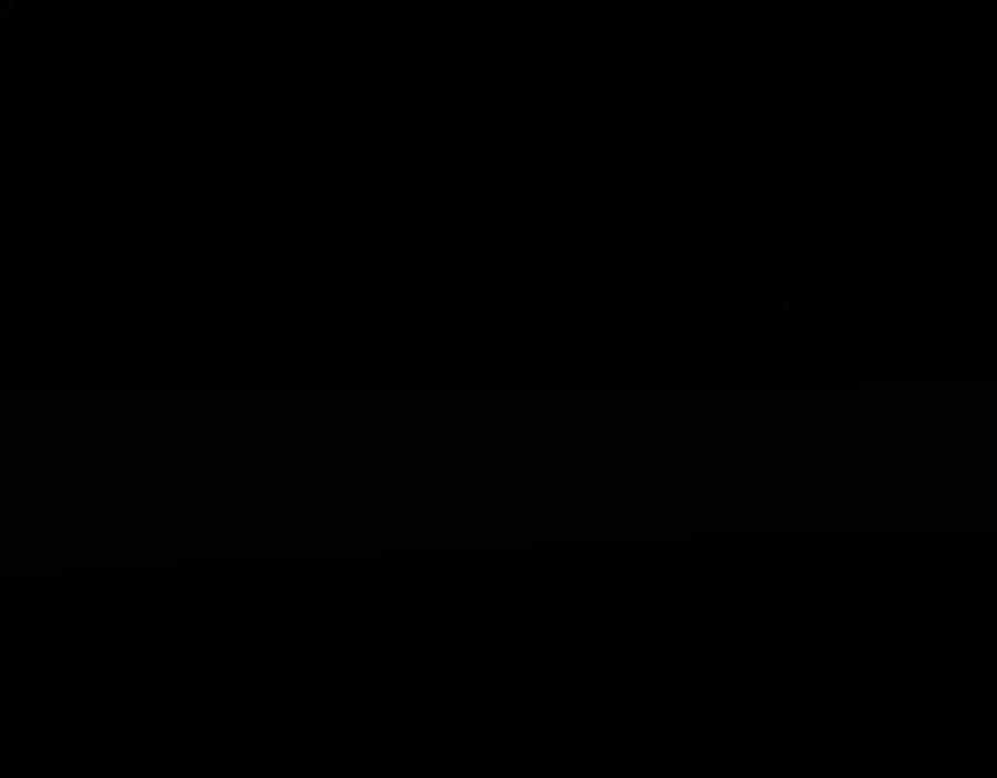 第447页