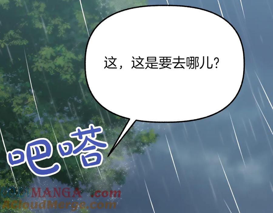第233页