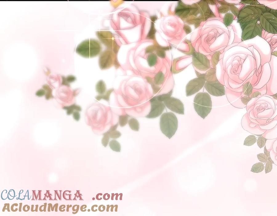 第221页