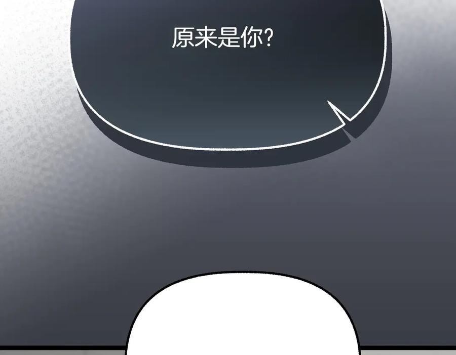第223页