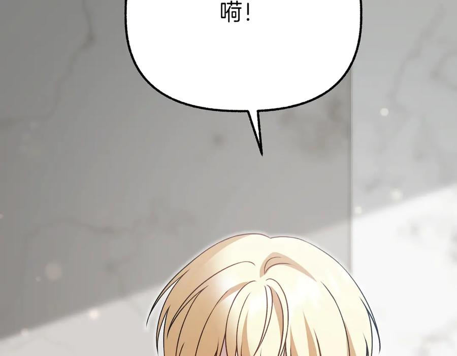 第224页