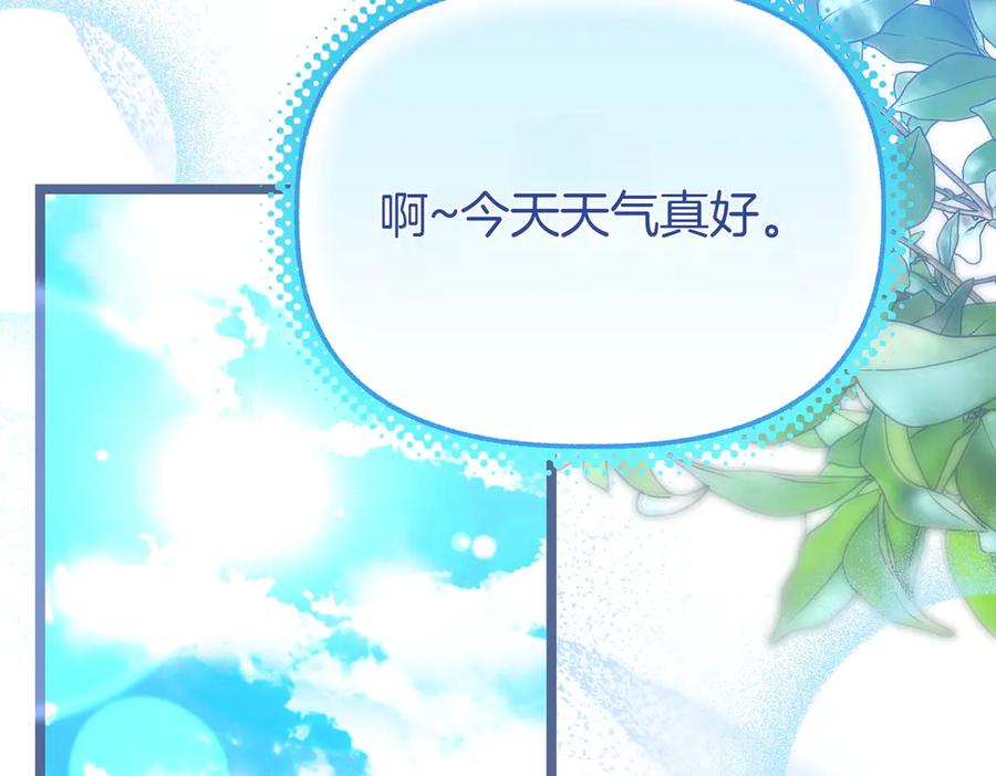 第254页