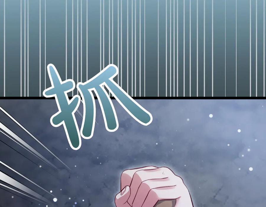 第247页