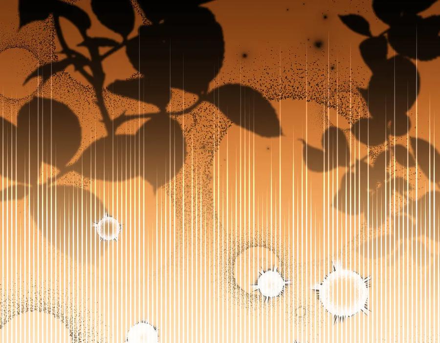 第260页