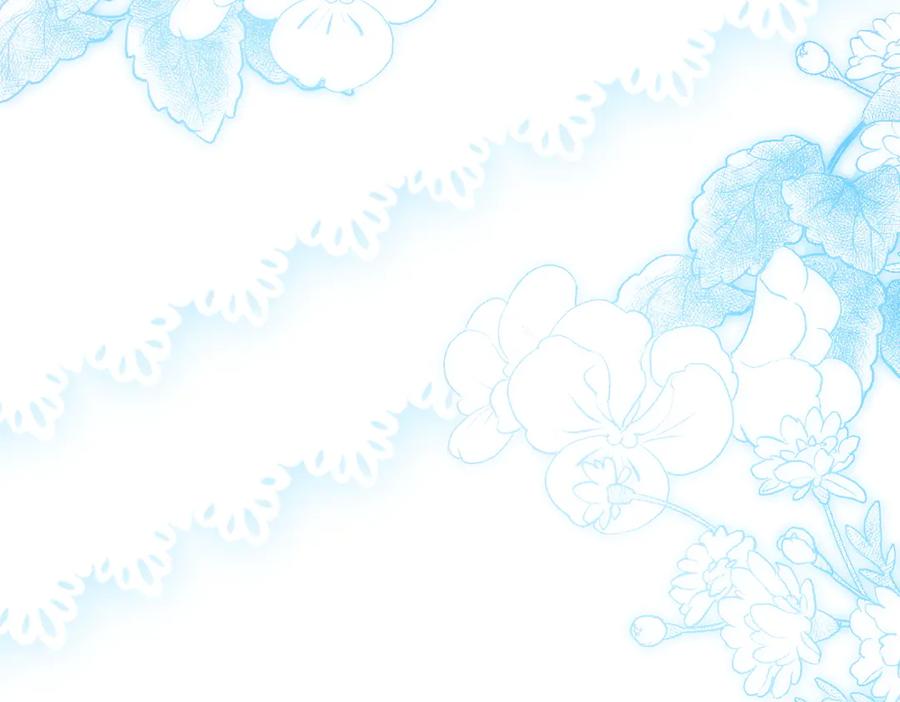 第240页