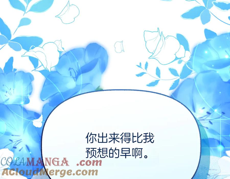 第229页