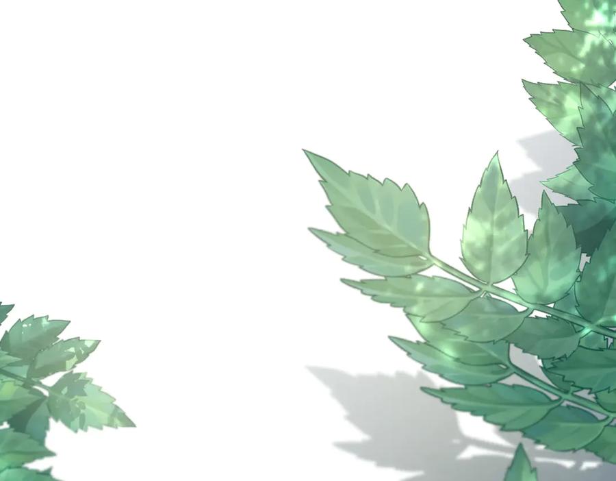 第251页