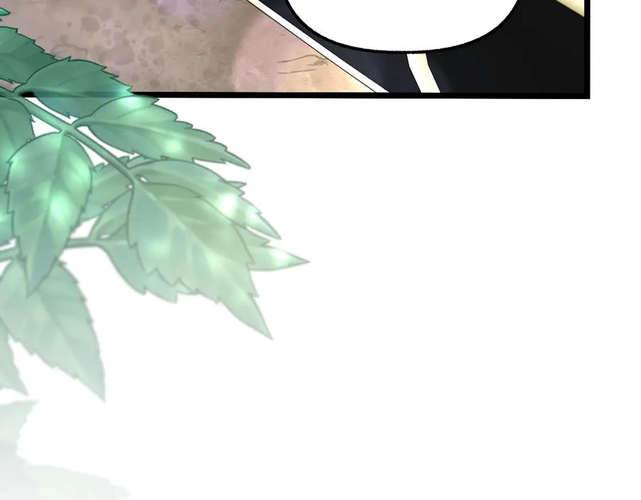 第254页