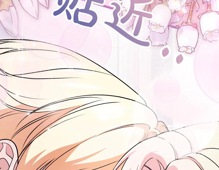 第251页