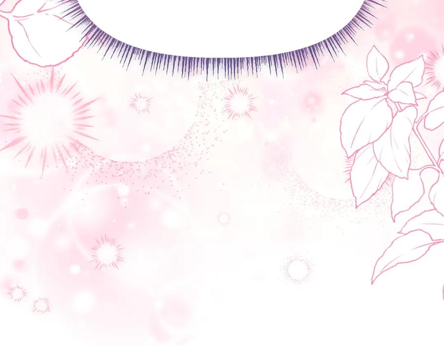 第255页