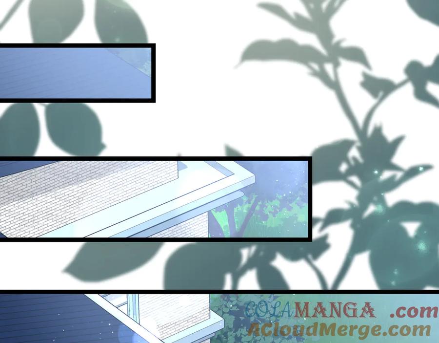 第213页