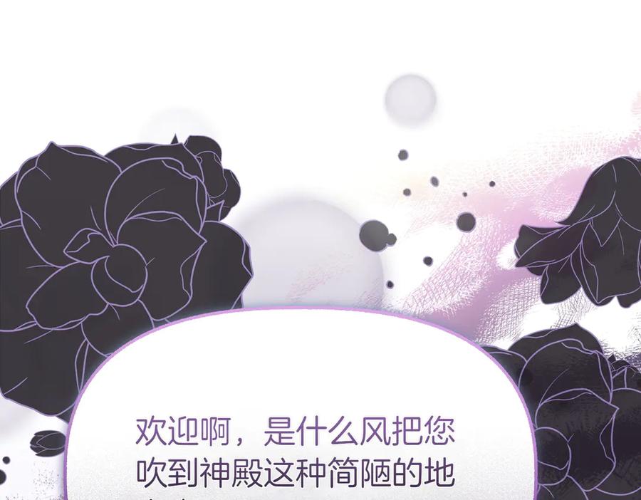 第224页