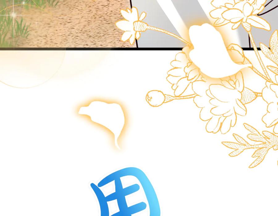 第224页