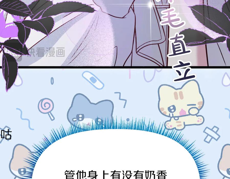 第203页